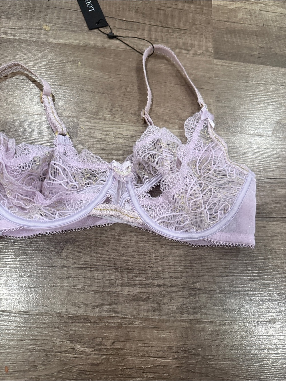 Sheer Lace Underwire Bra in Pale Pink